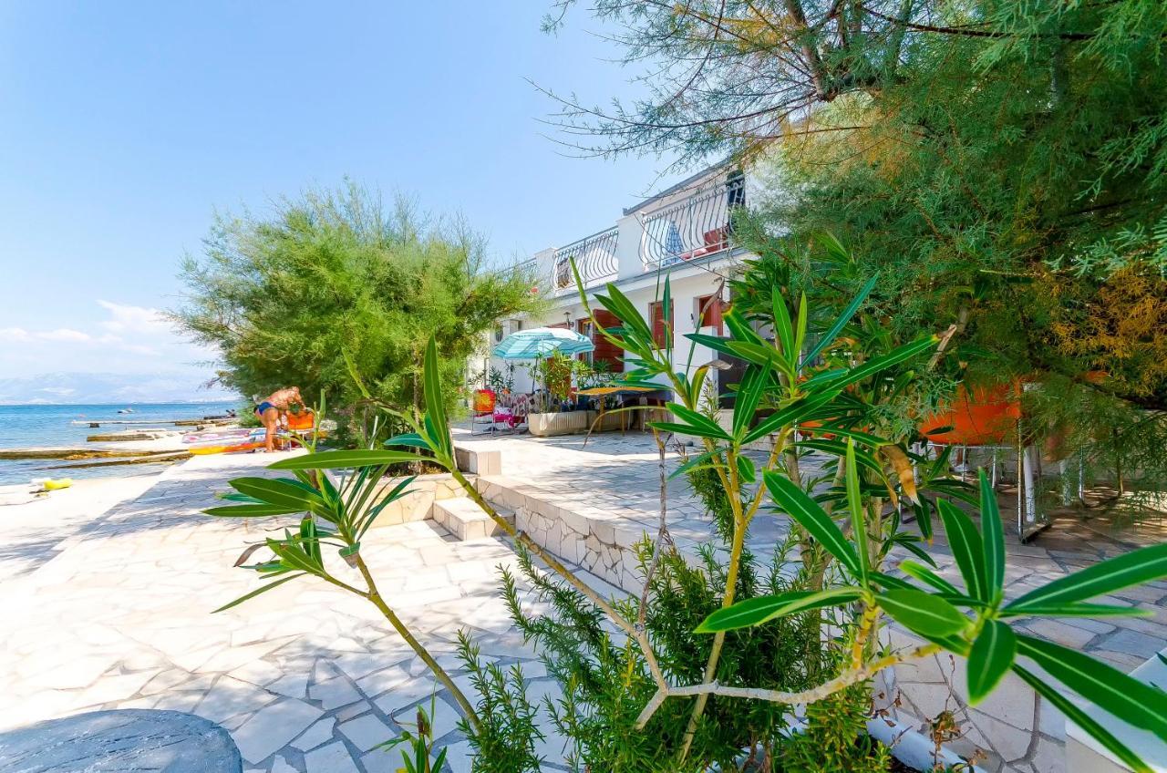 טרוגיר Apartments Marijana מראה חיצוני תמונה
